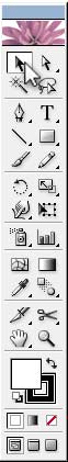 Illustrator Form Tut - Select the Selection Tool