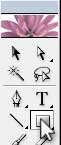 Illustrator Form Tut - Select Rectangle Tool for Job Details Section