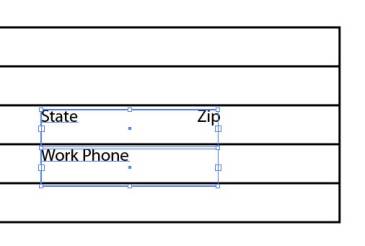 Illustrator Form Tut - "State" and "Work Phone" Aligned to the Left