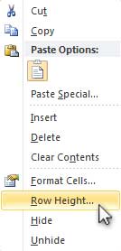 Design Invoice In Excel - Changing Row Height for Entire Form