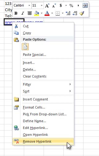 Design Invoice In Excel - Remove Hyperlink