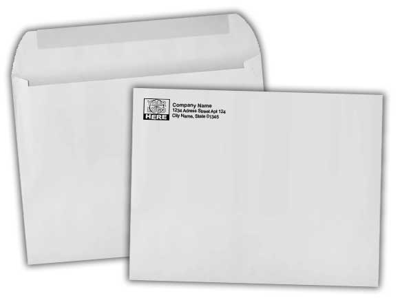 Large Booklet Envelopes 9 x 12